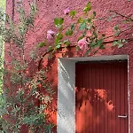 Casita Salinas 샬레